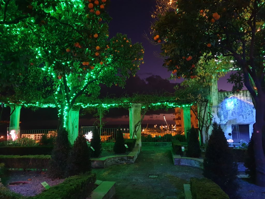 The Minerva Garden lights up with the "Lumina Minervae" 
